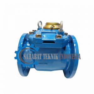 Water Meter Powogaz Cold Water Size 8 Inch