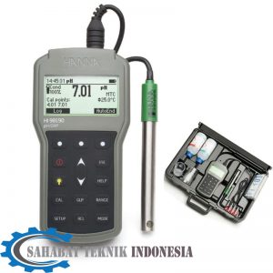 Jual Professional Waterproof Portable pH/ORP Meter Hanna - HI98190