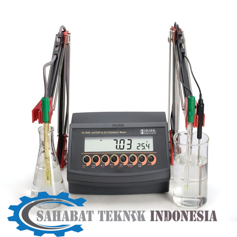 Jual Hanna HI2550 pH/mV/EC/TDS/NaCl/°C Meter - 2 Channel