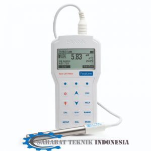 Jual Professional Portable Beer pH Meter Hanna - HI98167