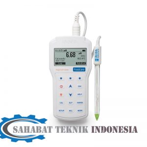 Jual PH(Meters) Hanna HI98164 Professional Portable Yogurt pH Meter