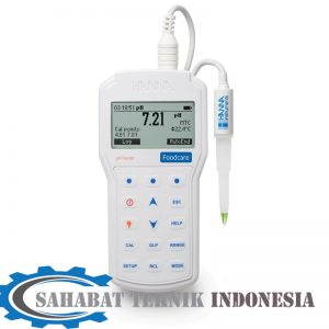 Jual pH(Meters) Hanna HI98161 Professional Foodcare Portable pH Meter